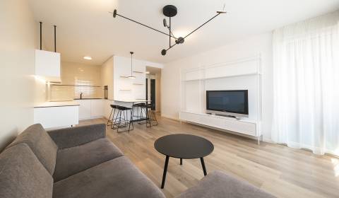 Modern sunny 1bdr apt 45 m2, with loggia and parking, FUXOVA