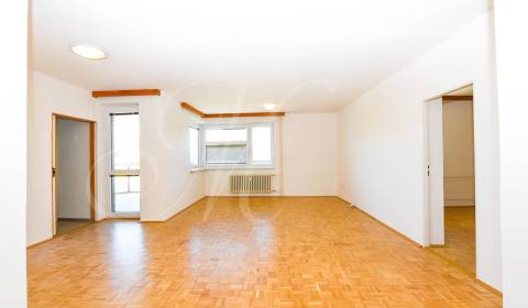 Large partially furnished 3-bedroom apartment, Old Town