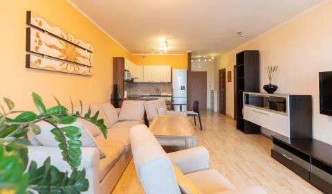 Rent One bedroom apartment, One bedroom apartment