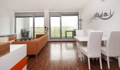  Furnished 1-bdrm apartment in modern building