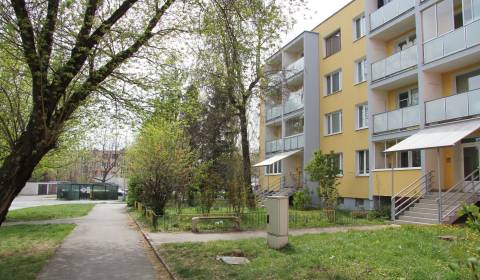 One bedroom apartment, Mikovíniho, Rent, Košice - Západ, Slovakia