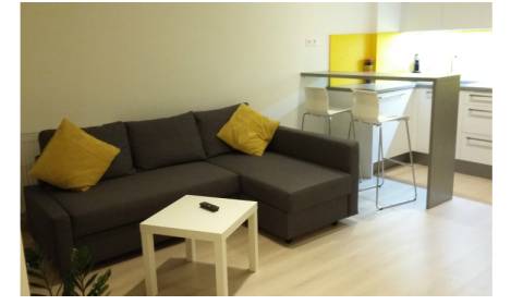 Nice 1 room apt, 37m2, with balcony, view of Slavín