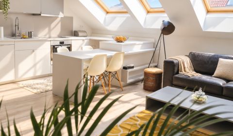 Modern apartment in Old town for rent