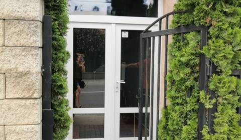 Rent Offices, Offices, Šamorínska, Senec, Slovakia