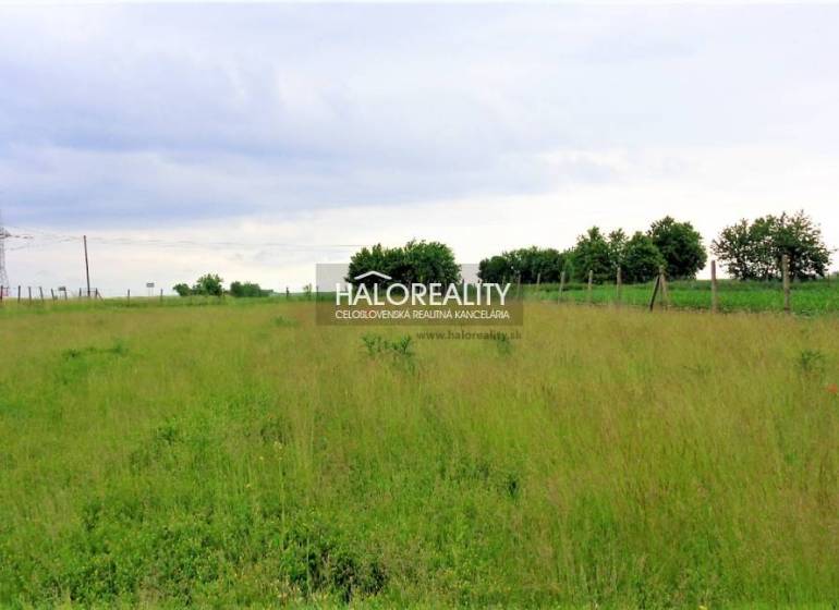 Cabaj - Čápor Land – for living Sale reality Nitra
