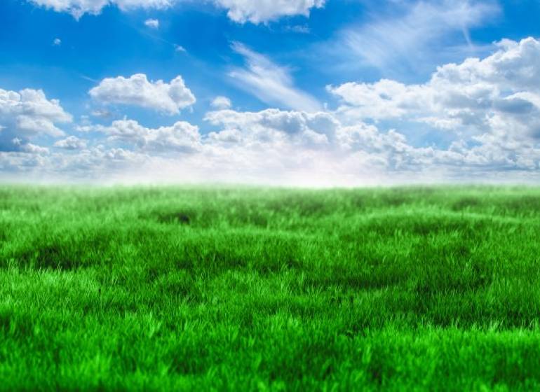 green-grass-and-blue-sky-1398454014G2m.jpg