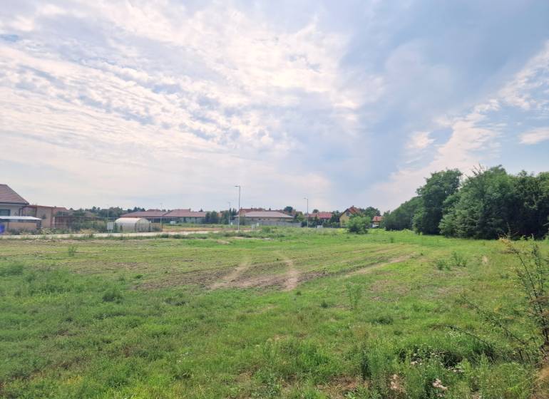 Hviezdoslavov Land – for living Sale reality Dunajská Streda