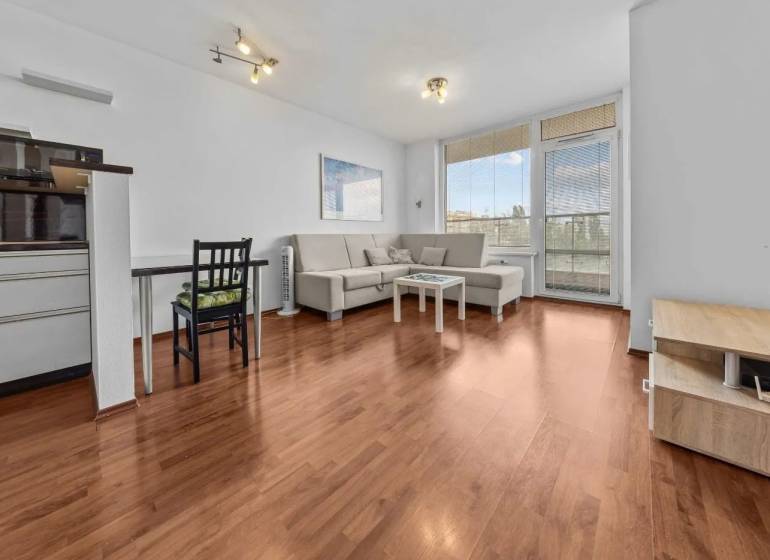 Living room in a two-room apartment with a sofa and a dining table.