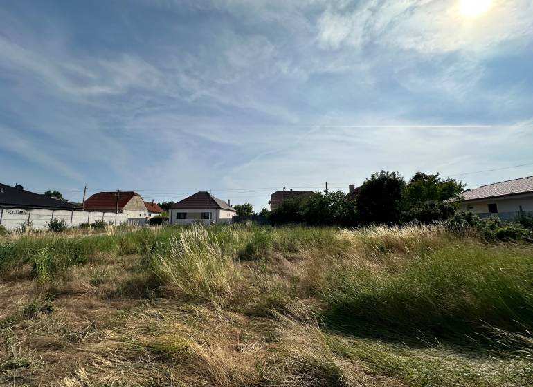 Plots - housing in Slovenská Nová Ves; overgrown field with neighboring houses in the background.