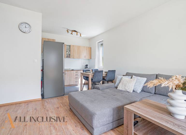 Living room in a 2-room apartment with a sofa, dining table, and kitchen unit.