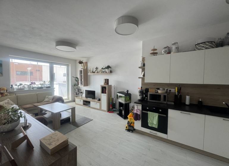 Living room in a 2-room apartment with a light kitchen unit and a comfortable sofa.