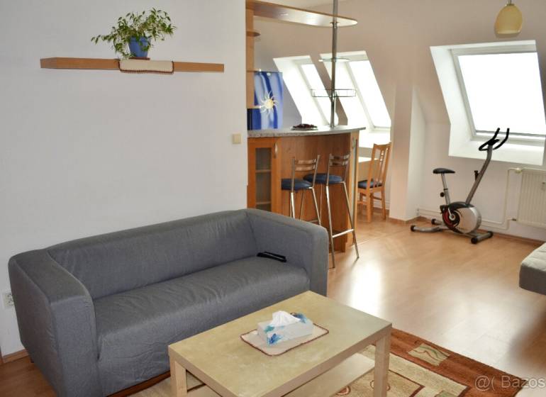 Living room with a sofa, table, bar counter, and stationary bike in a studio apartment.