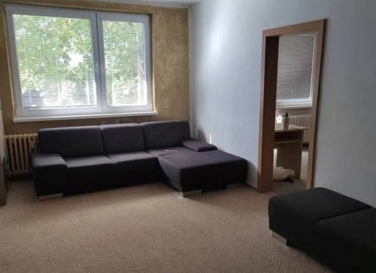 A sofa in the living room of a 3-room apartment with a large window and a carpet.