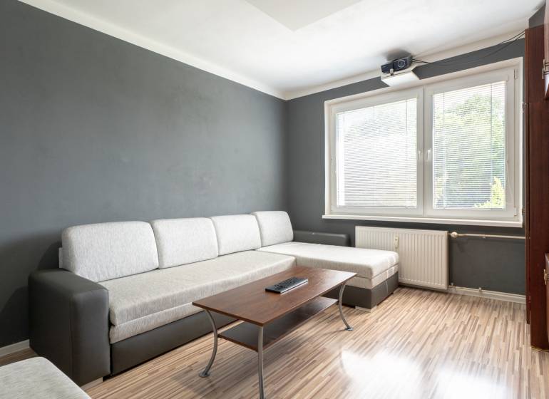 Living area in a studio apartment with a sofa, table, and large window.