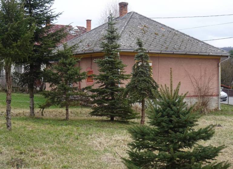 A family house in Telkibanya with a garden and coniferous trees at the front of the property.