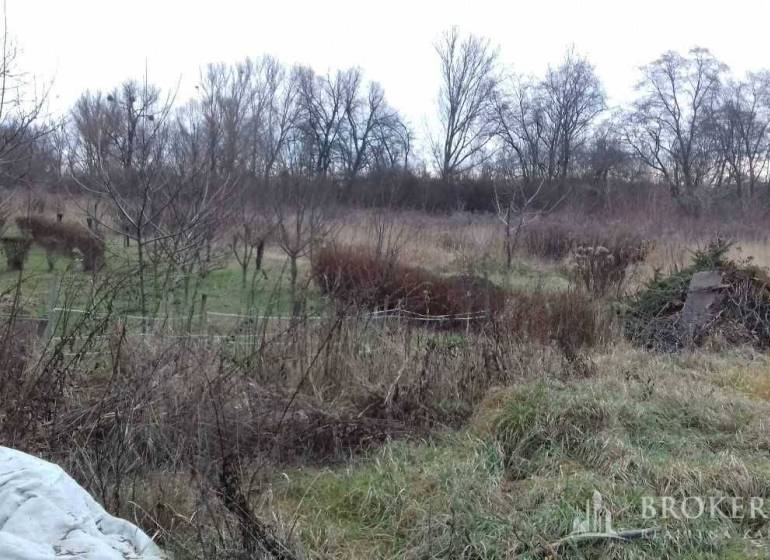 Natural scenery in the recreational grounds of Beniakovce with tall grass and shrubs.