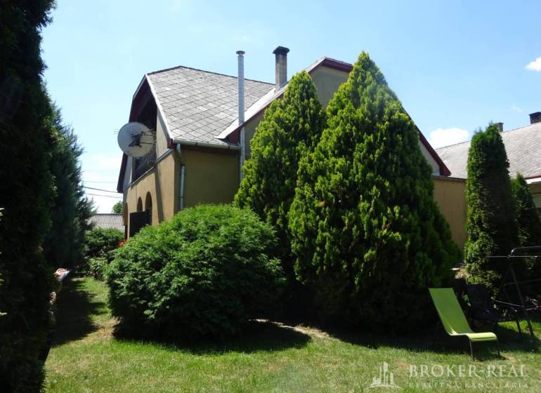 The garden of a family house in Encs with tall coniferous trees and a satellite dish.