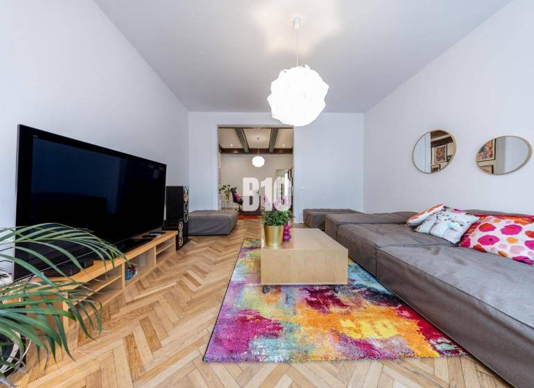 Living room in a two-room apartment with a large sofa, colorful carpet, and a plant.