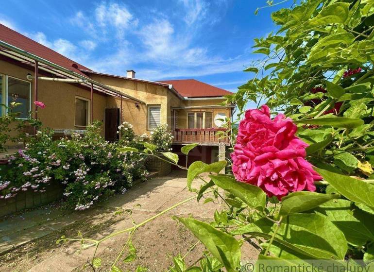 A family house in Gemerská Hôrka with a pink flower in a well-maintained garden.