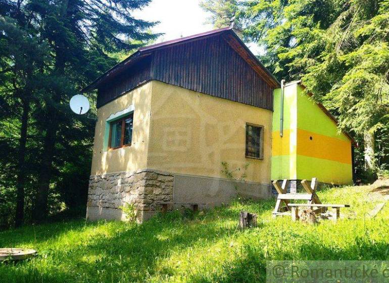 A cottage in Drienica surrounded by coniferous trees, adorned with a satellite dish and a bench.