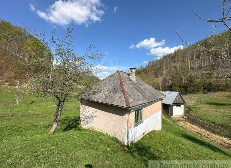 A cottage amidst greenery with mountains in the background. Rural landscape and family house.