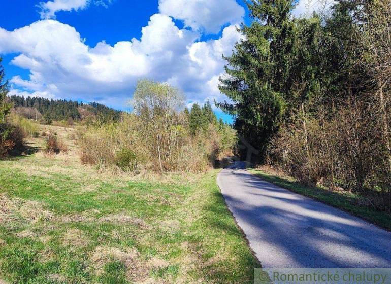 A peaceful forest path surrounded by trees and a blue sky, perfect for romantic walks.