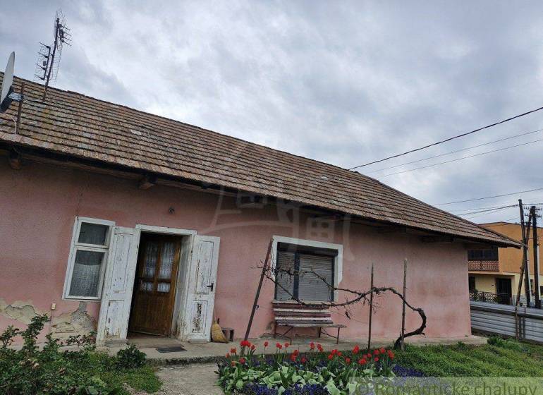 A family house with a wooden roof, shutters, flowers in the garden, and an antenna.