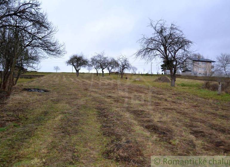 A vast field with fruit trees near a country house and garden.
