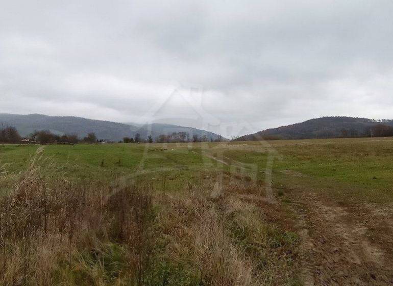 Green agricultural and forest lands with hills in the background under a cloudy sky.