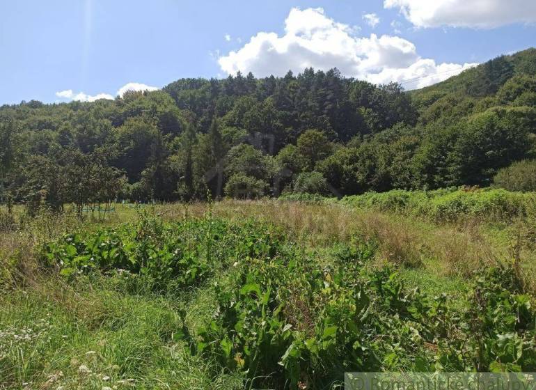A meadow with a forest in the background, ideal for land and living in nature.