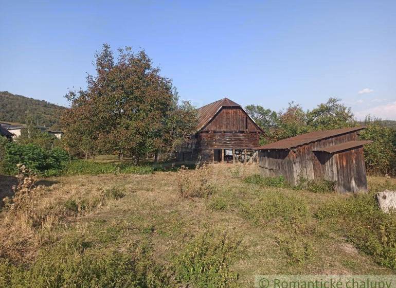 Garden, old wooden family house, two wooden structures, fruit tree, countryside.
