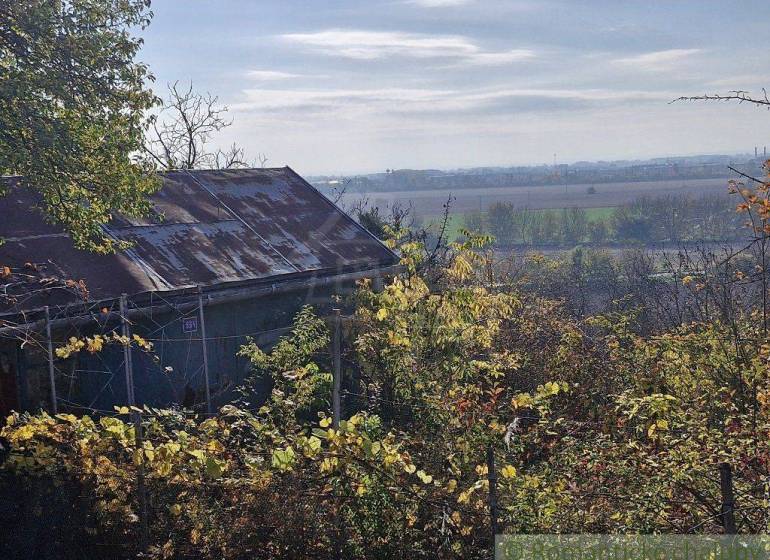 An old country house surrounded by autumn greenery in a sunny garden.