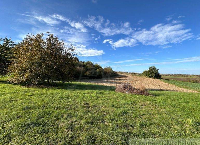 A landscape with grass, trees, and farmland under a blue sky.