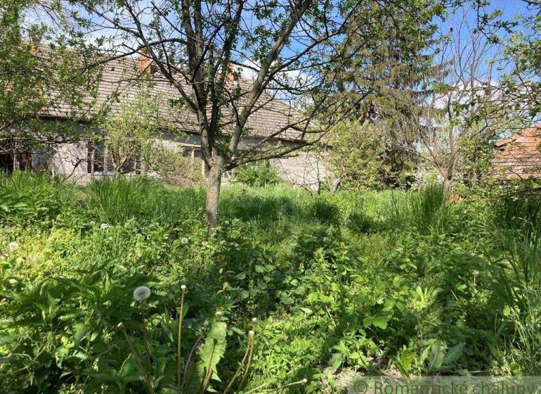 A garden with grass and trees, in the background a country house, suitable for living.