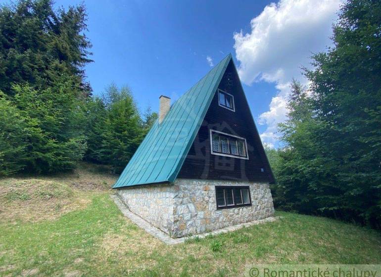 A cottage in the forest with a stone foundation, steep roof, and cladding. A family house in nature.