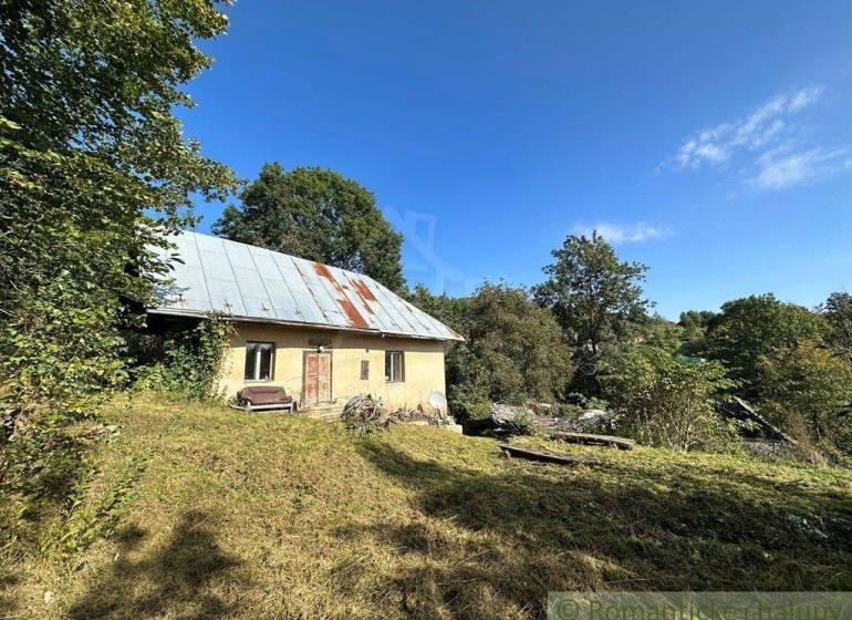 A family house in nature with a metal roof, surrounded by greenery and grass.