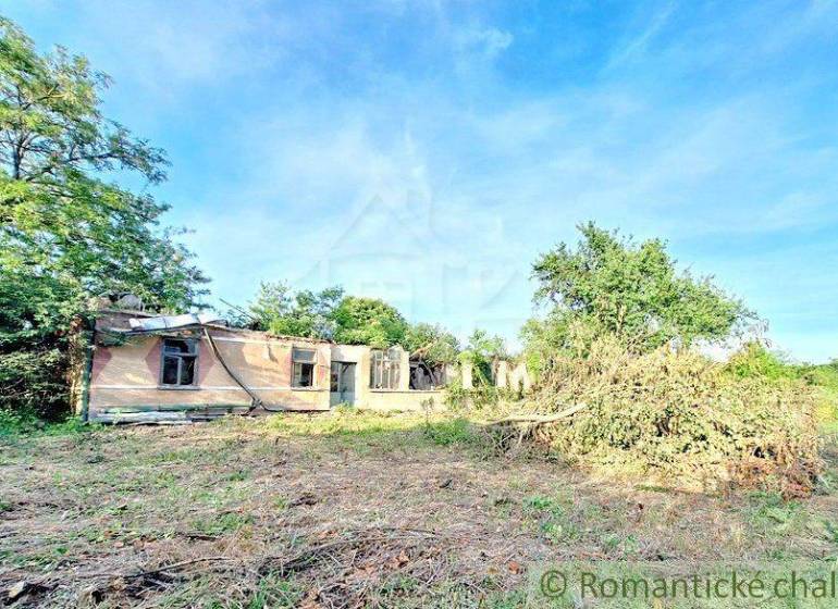 A view of an abandoned house on a plot, ideal for living or renovation.