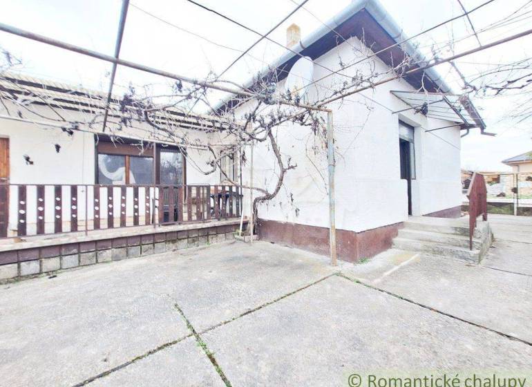 In the picture, there is a yard and a family house with a terrace and a vineyard pergola.