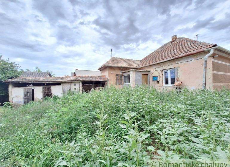 An old house surrounded by tall grass and a cottage in a rustic setting.