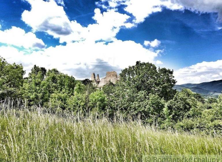 A view of the castle ruins amidst greenery and a garden under a blue sky.