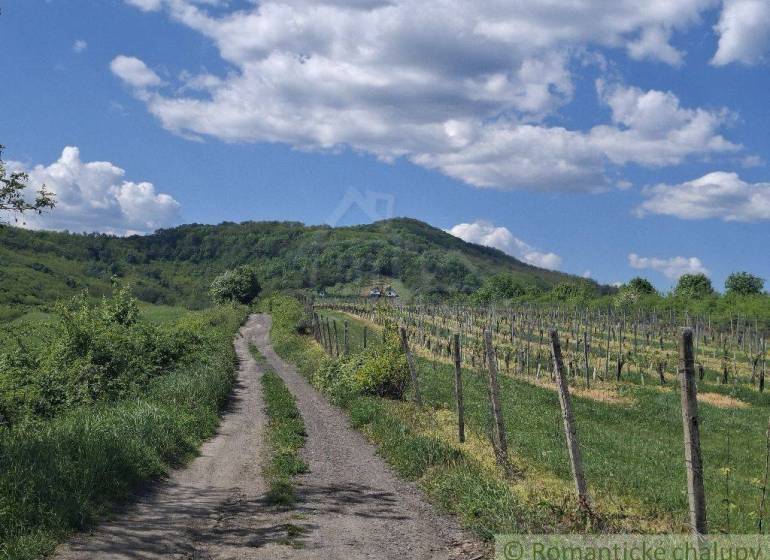 A dirt road next to vineyards in the vicinity of Veľký Krtíš, near a cottage on the slope.