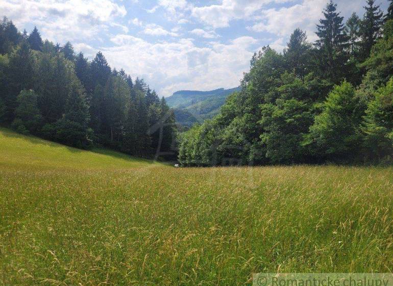 A meadow with agricultural and forest land surrounded by dense forest under a sunny sky.