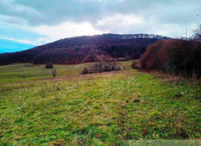 Green meadows and forest lands at the foot of the hill, natural landscape with sky.