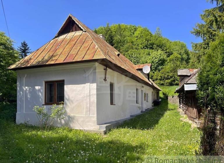 A family house surrounded by nature, with an old roof and a satellite dish in the yard.