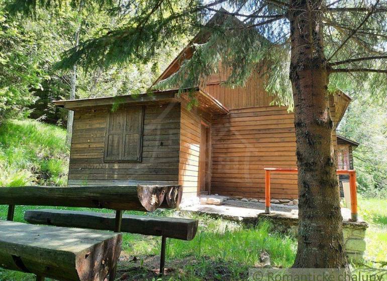 A cabin in the woods with wooden benches, suitable for relaxation and staying in nature.