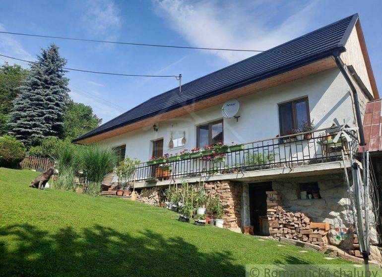 Family house with traditional design, wood in stock, garden, dog, clear sky.