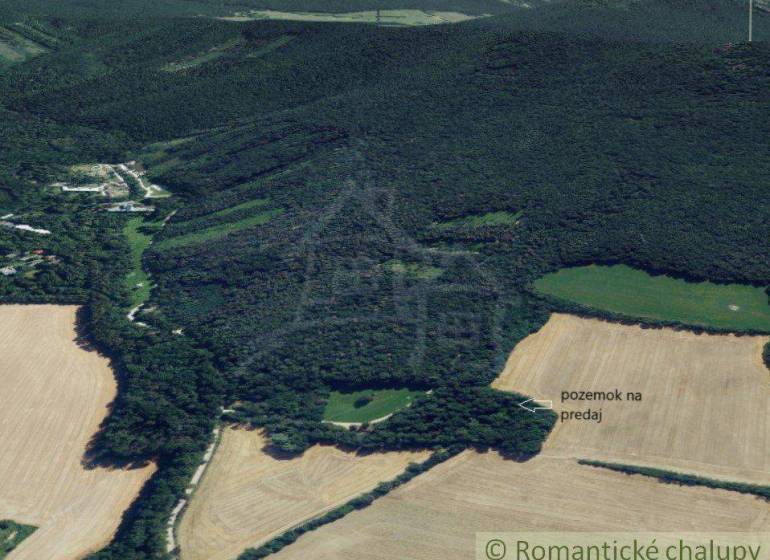Meadows and recreational plots near the forest, suitable for cottages and recreation.