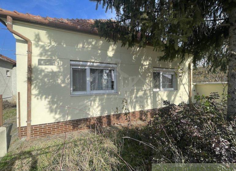 A family house with a garden, windows, a wall, and greenery in the shade of trees.