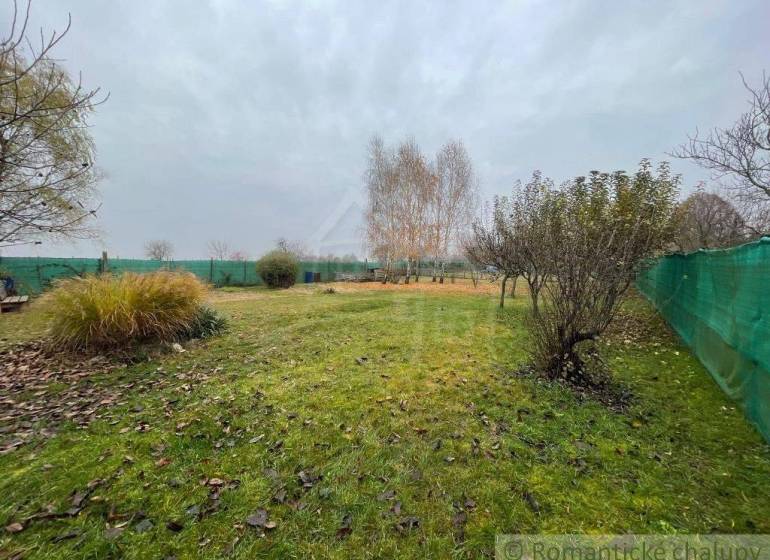 A lawn with deciduous trees, ideal for relaxation gardens and recreational activities.