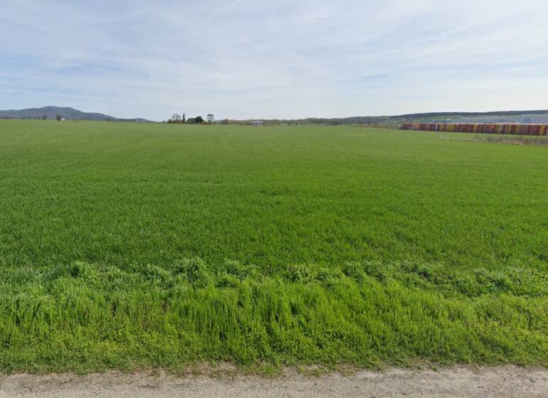 Green meadow in Nitra, suitable for commercial land, with a forest in the background.
